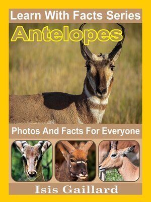 cover image of Antelopes Photos and Facts for Everyone